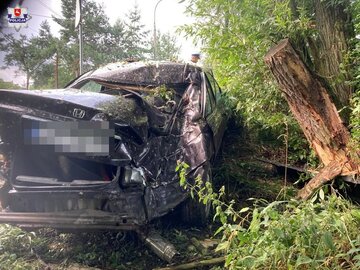 Honda uderzyła w&nbsp;drzewo