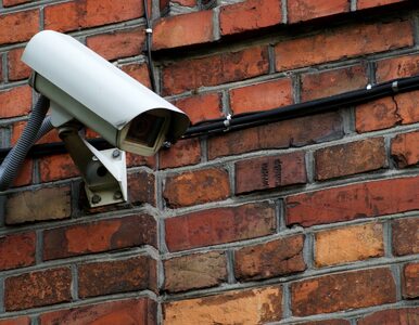 Miniatura: Prywatny monitoring zezłościł sąsiadów....