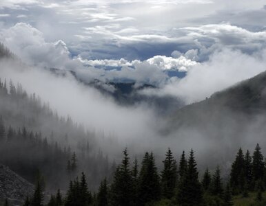 Miniatura: Tatry: uwaga na lawiny!