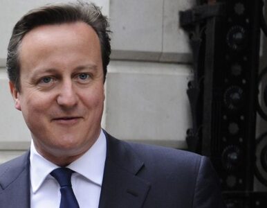 Miniatura: Cameron chce, by Wielka Brytania była jak...