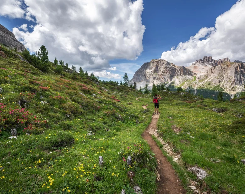 Miniatura: Botaniczny quiz ortograficzny. Wiecie, jak...