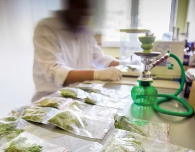 Miniatura: Nasza droga trawka