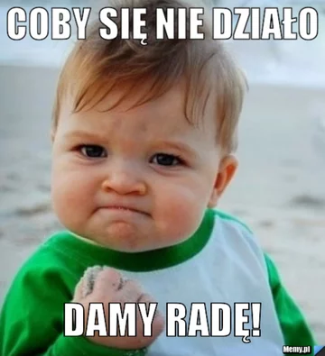Memy z „success kid” 
