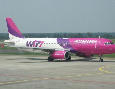 Miniatura: Samolot Wizz Air z Katowic do Eindhoven...