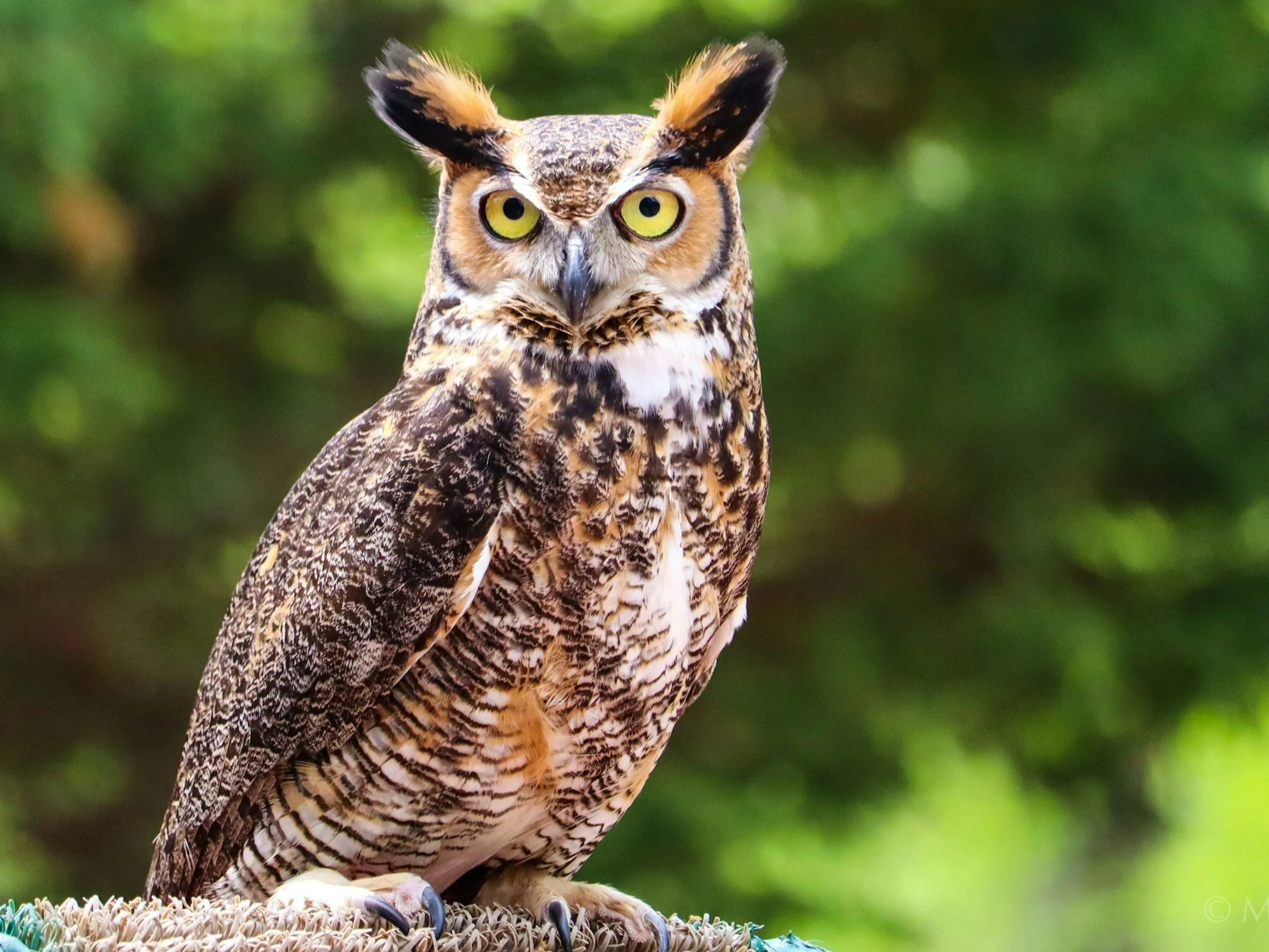 Wymagający QUIZ z wiedzy ogólnej. Na ile pytań odpowiesz?