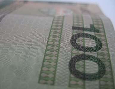 Miniatura: Skarbówka odzyskuje setki milionów złotych