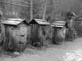 Miniatura: Pamiętasz stare zawody? W tym QUIZIE...