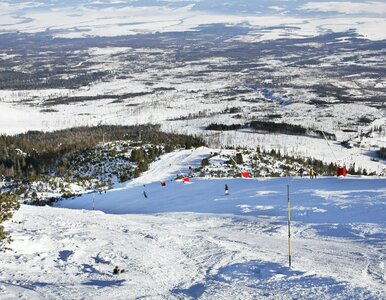 Miniatura: Ta atrakcja dla narciarzy będzie płatna....