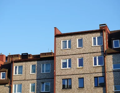 Miniatura: Ten wpis w księdze wieczystej to znak...