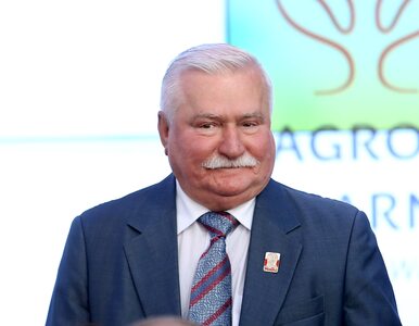 Miniatura: Wałęsa: Jestem gotów znów stanąć na czele...