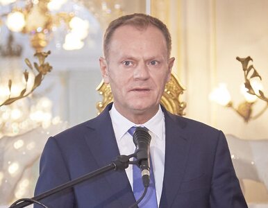 Miniatura: Tusk uderza w politykę PiS przed szczytem...