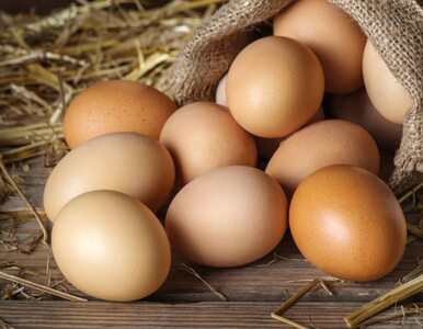 Miniatura: Czy jajka wpływają na poziom cholesterolu?...