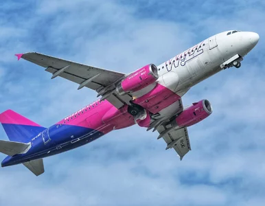 Miniatura: Wizz Air в пошуках нових працівників з...