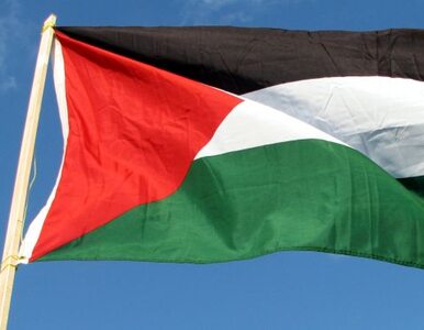 Miniatura: Palestyna: porozumieliśmy się z Izraelem...