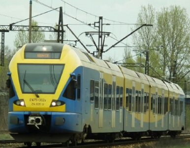 Miniatura: Utrudnienia w ruchu kolejowym w Śląskiem