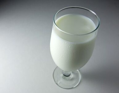 Miniatura: Mleko pomaga w ochudzaniu