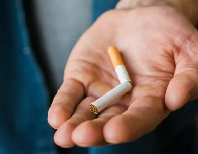 Miniatura: Palenie zabija – nie tylko płuca. Każdy...