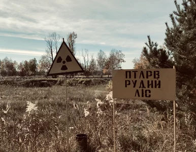 Miniatura: Rosjanie w Czerwonym Lesie, najbardziej...