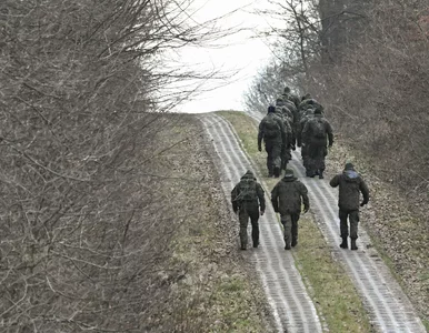 Miniatura: Naruszenie polskiej przestrzeni...