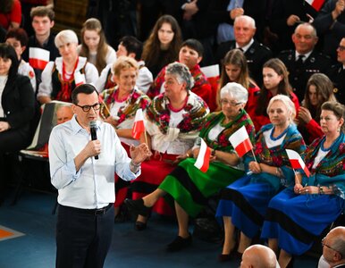 Miniatura: Politycy PiS-u ruszyli w teren. Morawiecki...