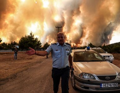 Miniatura: Raport klimatyczny. „Uczeni studzą...