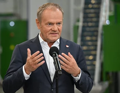 Miniatura: Koalicja na krawędzi. Tuskowi pary...