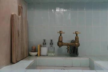 Śródziemnomorski klimat w pochmurnym Londynie, projekt Red Deer downloadfor.press, red deer