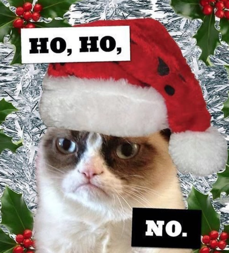 Grumpy Cat 