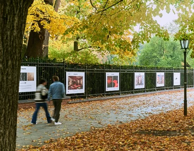 Miniatura: „Tubądzin Meets Art” w Łazienkach...