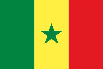 Flaga Senegalu 