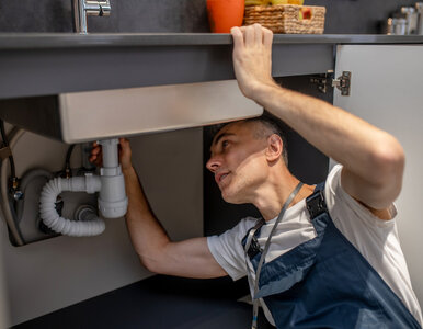 Miniatura: Wylewali olej do zlewu. Pod miastem urósł...