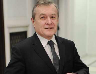 Miniatura: Gliński: gdybym był posłem może poparłbym...