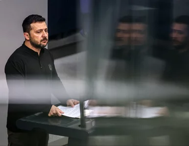 Miniatura: Niemieccy posłowie nie chcieli słuchać...