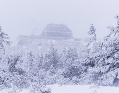 Miniatura: Ostrzeżenia przed silnym mrozem obejmą pół...