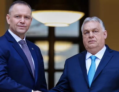 Miniatura: Polska po stronie Trumpa i Orbana. Tak...