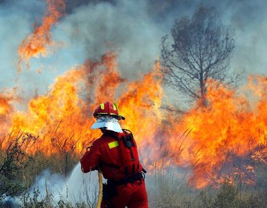 Miniatura: Ogień zbliża się do Sofii