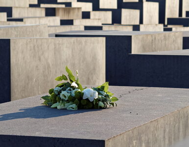 Miniatura: Polityk AfD: Pomnik Holocaustu w stolicy...