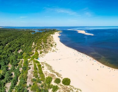 Miniatura: Spokój morze i dzika natura. To nie rajska...