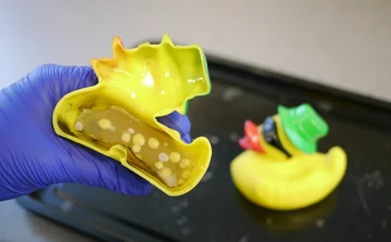 Bakterie i grzyby wewnątrz pływających zabawek 