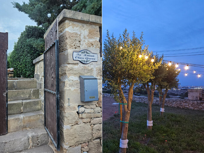 Ta'xmun Olive Grove