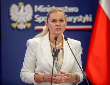 Miniatura: Kolejne zmiany w pracach domowych i...