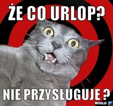 Dzień wolny? Internauci odpowiadają memami 