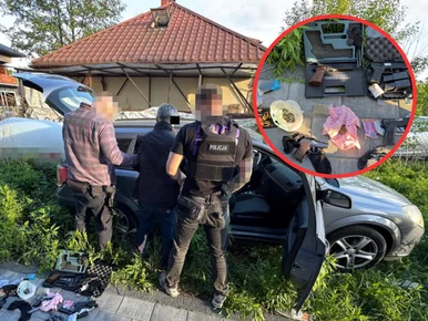 Miniatura: Warszawscy policjanci rozbili gruziński...
