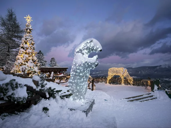Miniatura: Tej atrakcji w Zakopanem nie można...