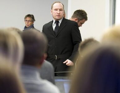 Miniatura: Breivik zaatakowany butem