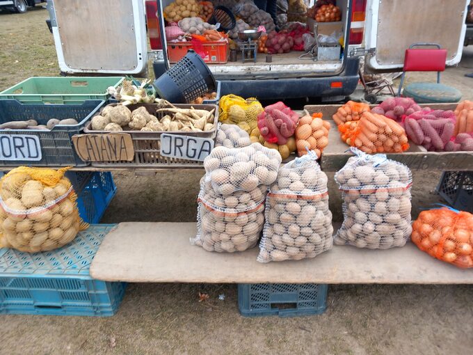 Ziemniaki na targowisku są znacznie tańsze niż na osiedlowych bazarkach czy w marketach