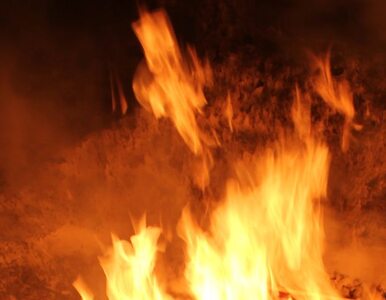 Miniatura: Lubelskie: 75-latek spłonął w drewnianym domu