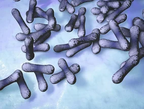 Miniatura: Pierwszy przypadek błonicy w Polsce....