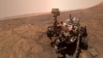 Selfie Curiosity 