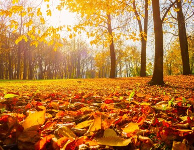 Miniatura: Polska w objęciach potężnego antycyklonu....